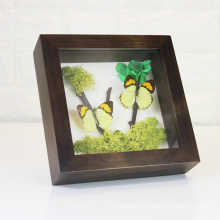 Custom wood frame display Fresh flowers plant Butterfly specimens shadow box frame with Glass Front